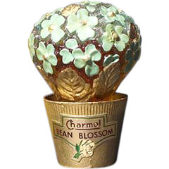 Bean Blossom by Charmol perfume bottle