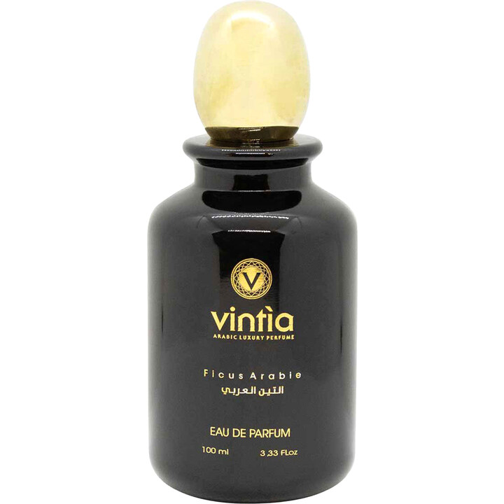 Ficus Arabie by Vintìa perfume bottle