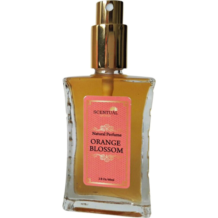 Orange Blossom EDP by Scentual Aroma perfume bottle
