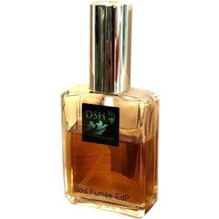Bois Fumée (Voile de Parfum) by DSH Perfumes perfume bottle