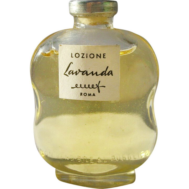 Lavanda by emef