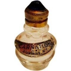 Carnation by Duvinne perfume bottle