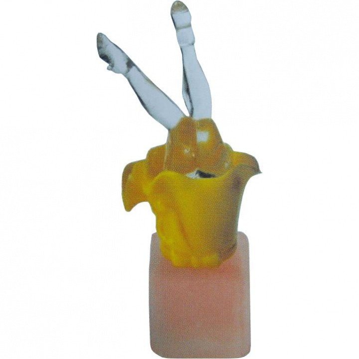 Helen of Troy II by Sigma V perfume bottle