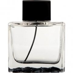 Splash Seduction in Black by Antonio Banderas perfume bottle