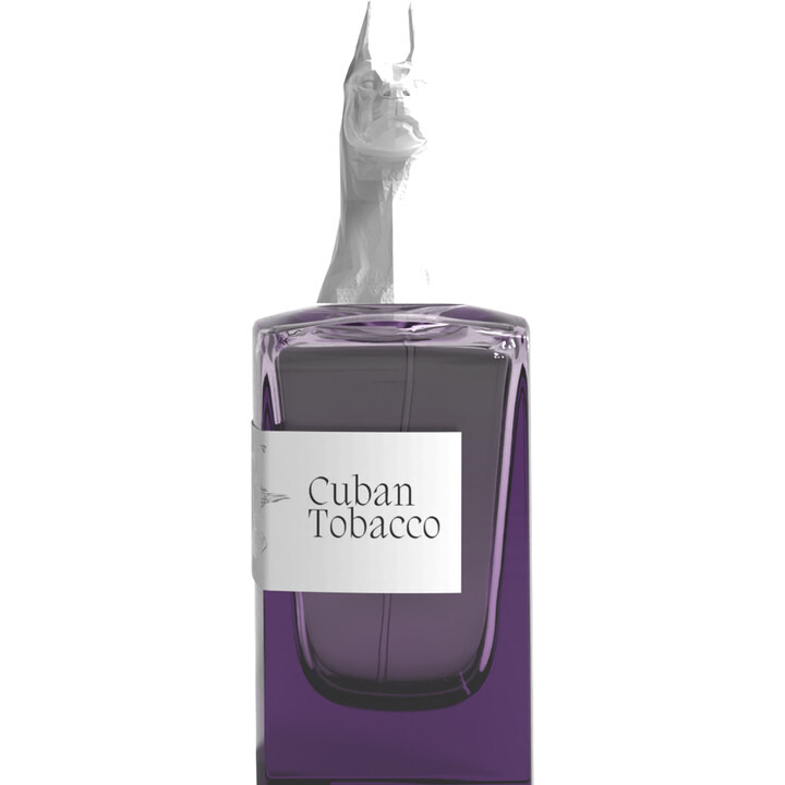 Cuban Tobacco by Désirs perfume bottle