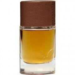Vintage for Him by American Eagle perfume bottle