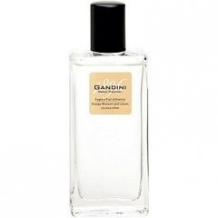 Foglie e Fiori d'Arancio / Orange Blossom and Leaves by Gandini perfume bottle