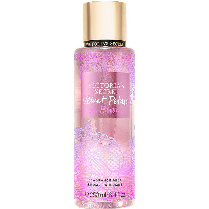 Velvet Petals in Bloom by Victoria's Secret perfume bottle