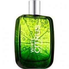 White Citrus for Men by Bath & Body Works perfume bottle
