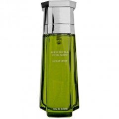 Herrera for Men Sensual Vetiver by Carolina Herrera perfume bottle