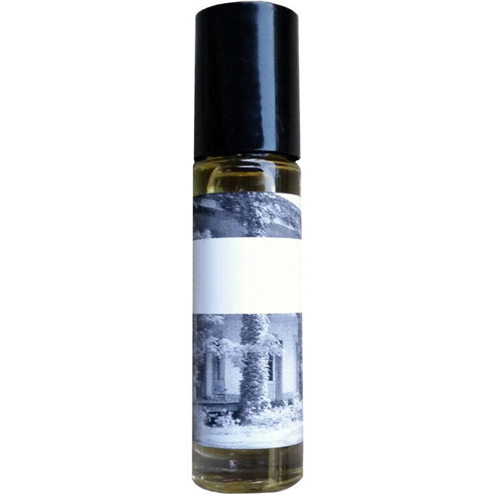If You're Reading This, Get Yourself a Hobby (Perfume Oil) by The Strange South perfume bottle
