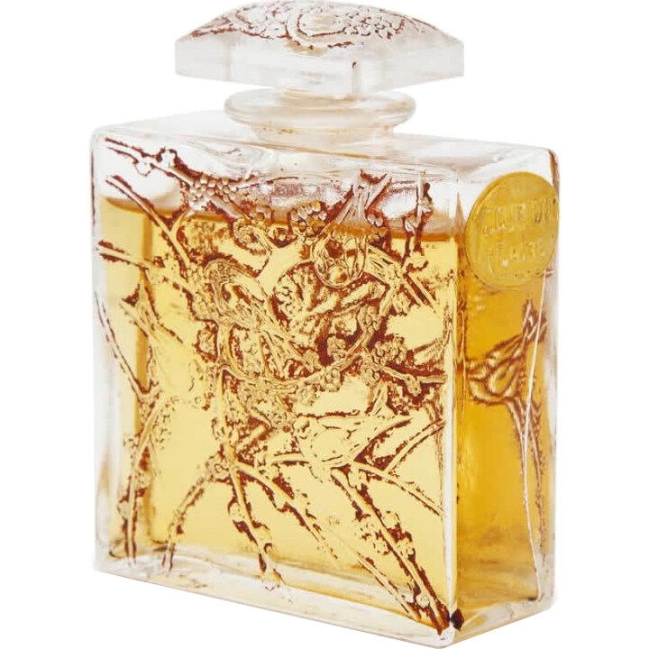 Fleur d'Or by Claire perfume bottle