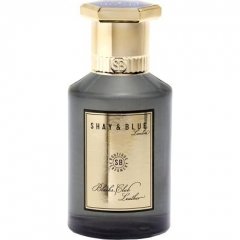Blacks Club Leather by Shay & Blue perfume bottle