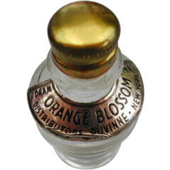 Orange Blossom by Duvinne perfume bottle