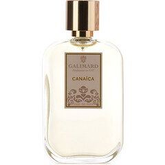Canaïca EDT by Galimard perfume bottle