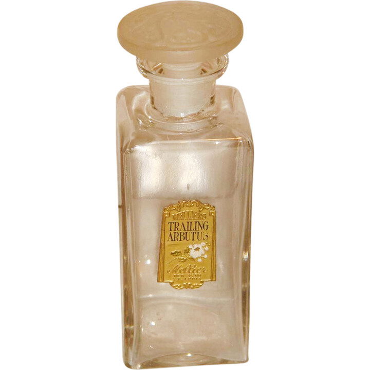 Trailing Arbutus by Mellier Co. perfume bottle