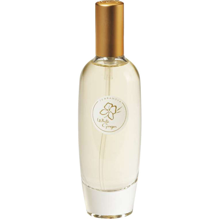 Island Collection - White Ginger (Cologne Mist)