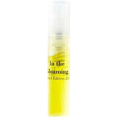 In the Gloaming by Deconstructing Eden perfume bottle