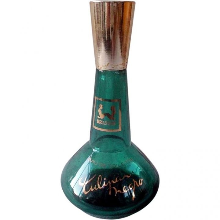 Tulipán Negro by Tulipán Negro perfume bottle