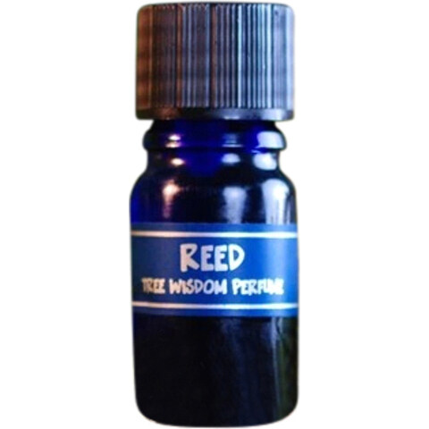 Tree Wisdom Perfume - Reed by Star Child perfume bottle