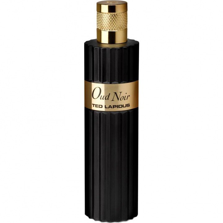 Oud Noir by Ted Lapidus perfume bottle