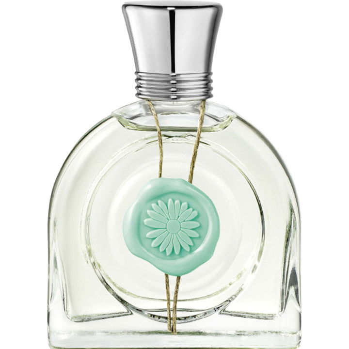 Fleur Rêverie by M. Micallef perfume bottle