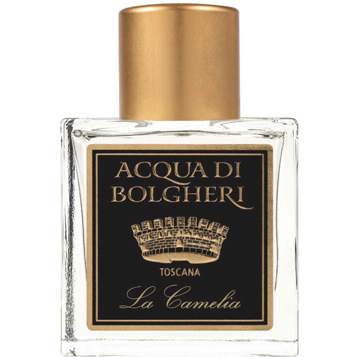 Acqua di Bolgheri - La Camelia by Dr. Taffi perfume bottle