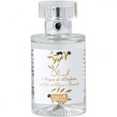 Olivel by Bolgherello perfume bottle