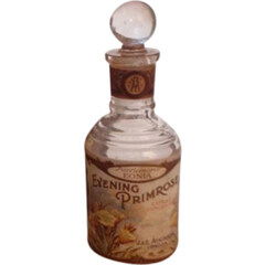 Evening Primrose by Atkinsons perfume bottle