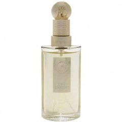 Suggestion Eau d'Argent by Montana perfume bottle