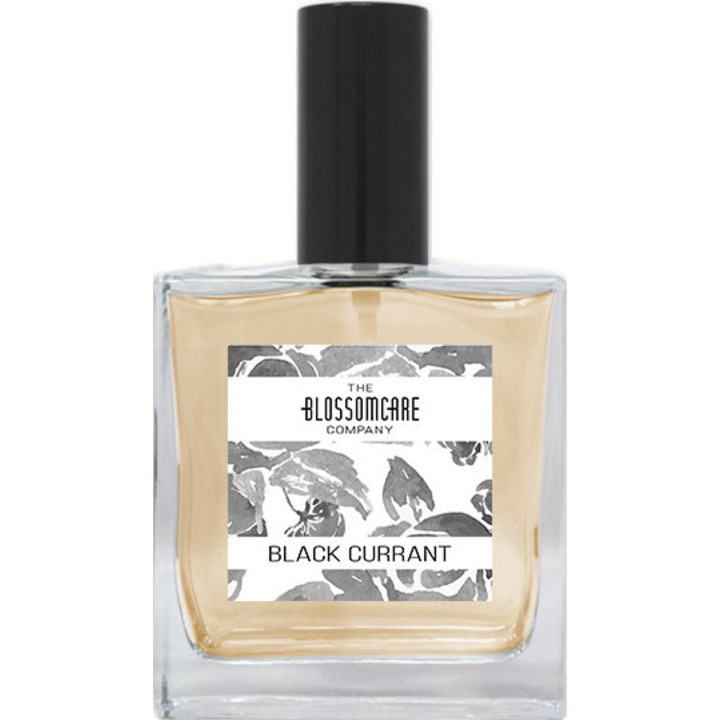 Black Currant by The Blossomcare Company perfume bottle
