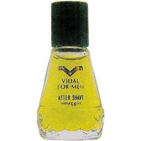 Pino Silvestre (Dopo Barba) / Vidal for Men by Pino Silvestre perfume bottle