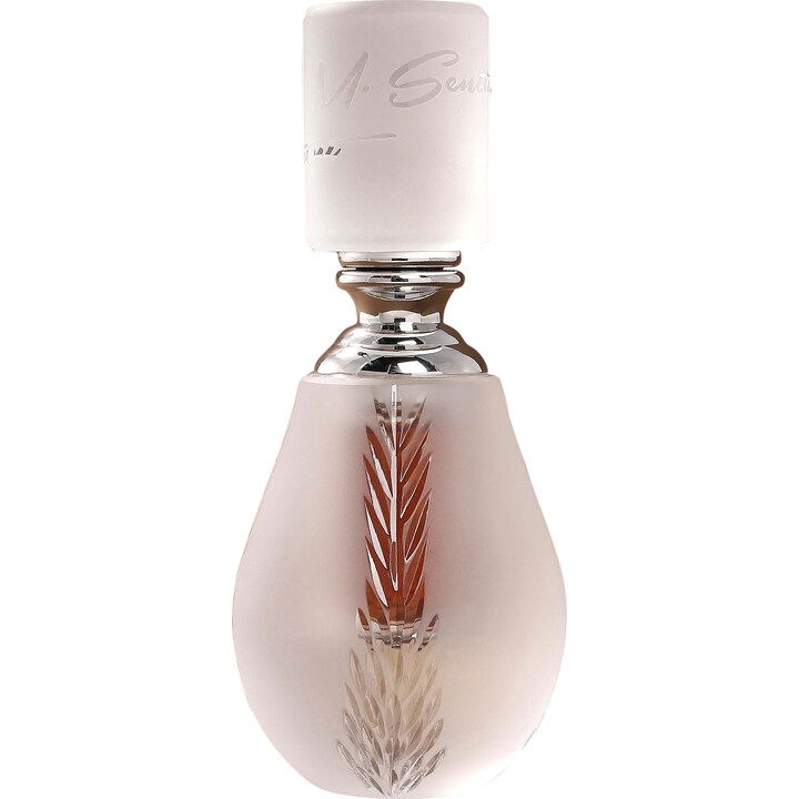 Coincidenza (Perfume Oil) by M. Sentiment perfume bottle