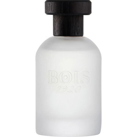 Agrumi Amari di Sicilia by Bois 1920 perfume bottle