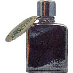 Passport for Men by Pierre Lorain perfume bottle