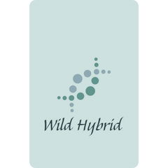 The Greek Pantheon - Helios by Wild Hybrid perfume bottle