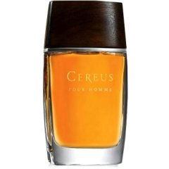 Pour Homme N° 14 by Cereus perfume bottle