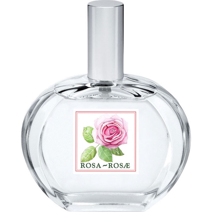I Classici - Rosa-Rosae by Helan perfume bottle