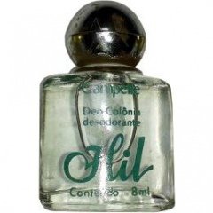 Hil by Campelle perfume bottle