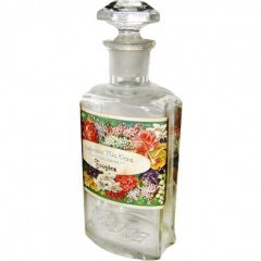 Fougère by Ernst Colditz / Parfumerie Mia Vera perfume bottle