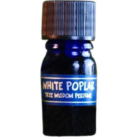 Tree Wisdom Perfume - White Poplar by Star Child perfume bottle