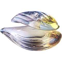 Spirit of Ayura / スピリットオブアユーラ (Parfum) by Ayura / アユーラ perfume bottle