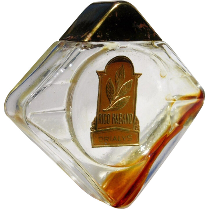 Rico Habano by Drialys / Drialis perfume bottle