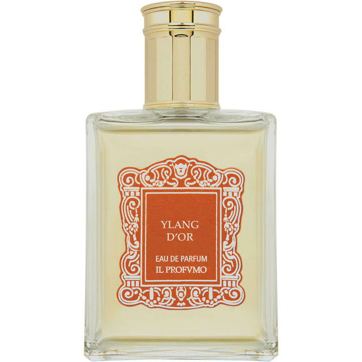 Ylang D'Or