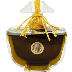 'Pahkamiskip by January Scent Project perfume bottle