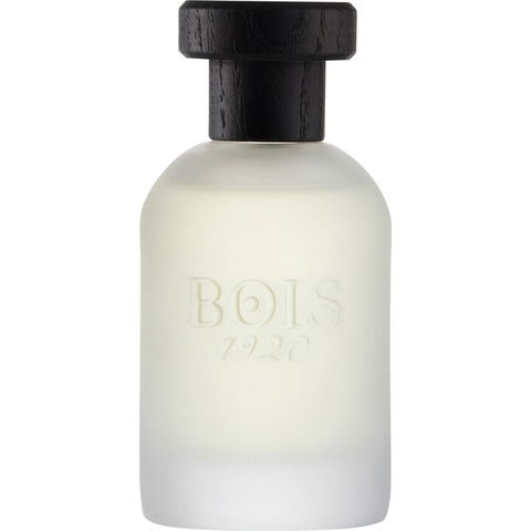 Classic 1920 by Bois 1920 perfume bottle