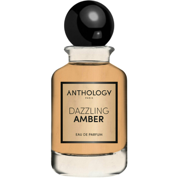 Dazzling Amber by Anthology perfume bottle