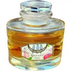 Bal des Fleurs by Gueldy perfume bottle