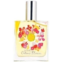 Citrus Bloom by mark. perfume bottle