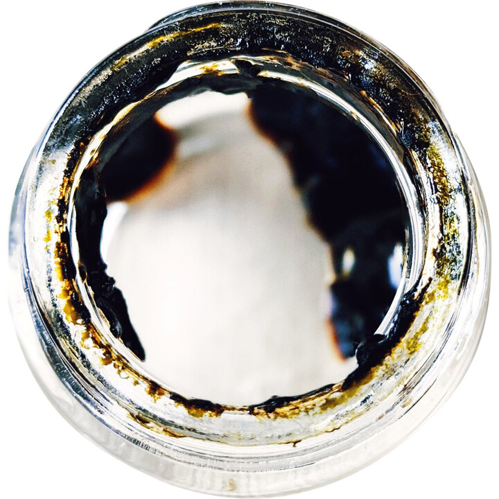 Skin: Masculine by Wild Veil Perfume perfume bottle